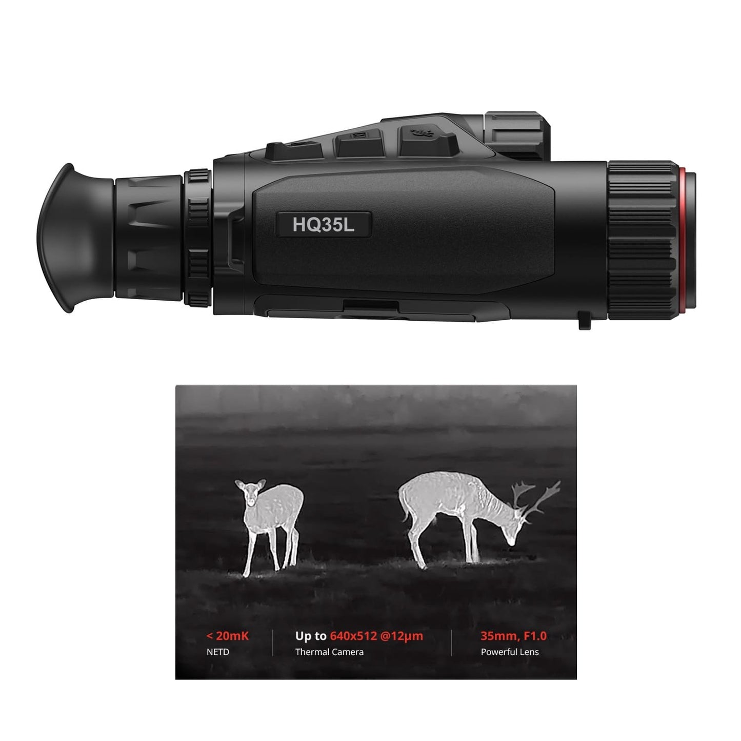 Hikmicro Habrok HQ35L (N) Wärmebild und Nachtsicht Fernglas - BoarBrothers