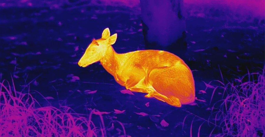 InfiRay Xeye E6+ Plus V3 Wärmebildkamera - großer Sensor 640x512 - BoarBrothers