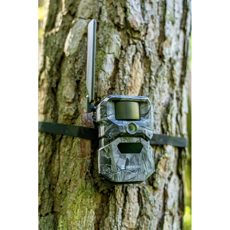 HIKMICRO T16 Wildkamera | 4G LTE & UHD-Qualität online kaufen